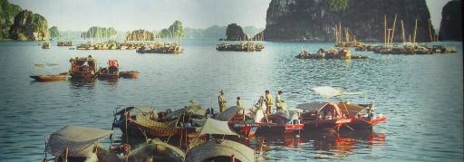 Du lịch Hạ Long - Tuần Châu 2 ngày 1 đêm (8)