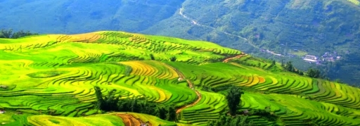 Du lịch Sapa - Cát Cát - Ý Linh Hồ - Lao Chải Tả Van - Hàm Rồng 3 ngày 4 đêm (8)