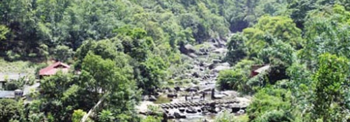 Du lịch Tây Thiên - Tam Đảo 2 ngày 1 đêm (13)