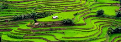 Du lịch Mai Châu 1 ngày (2)