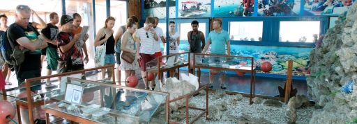 Tour Hạ Long 2 ngày 1 đêm - ngủ tàu Dragon Cruise (7)