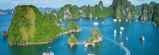 Du lịch Hạ Long - Cát Bà 3 ngày 2 đêm (tàu + khách sạn) (10)