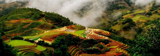 Du lịch Sapa - Cát Cát - Lao Chải - Tả Van - Giàng Tả Chải - Sử Pán 3 ngày 4 đêm (6)