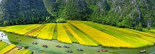 Du lịch Hoa Lư - Tam Cốc - Vườn quốc gia Cúc Phương 2 ngày 1 đêm (9)
