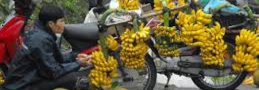 Du lịch Tây Thiên - Tam Đảo 2 ngày 1 đêm (6)