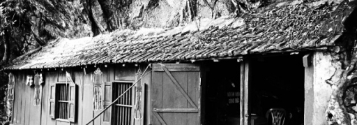 Du lịch Chùa Ba Vàng - Yên Tử 1 ngày (15)