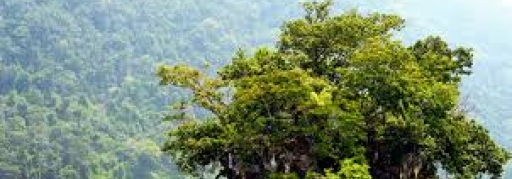 Tour ghép Ba Bể - Động Hua Mạ - Thác Tát Mạ 2 ngày 1 đêm (5)