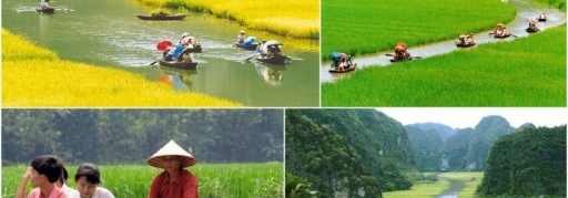 Du lịch Hoa Lư - Tam Cốc 1 ngày (8)