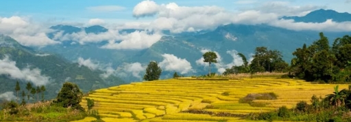 Du lịch săn mây Y Tý - Mường Hum - Sapa 3 ngày 2 đêm (5)