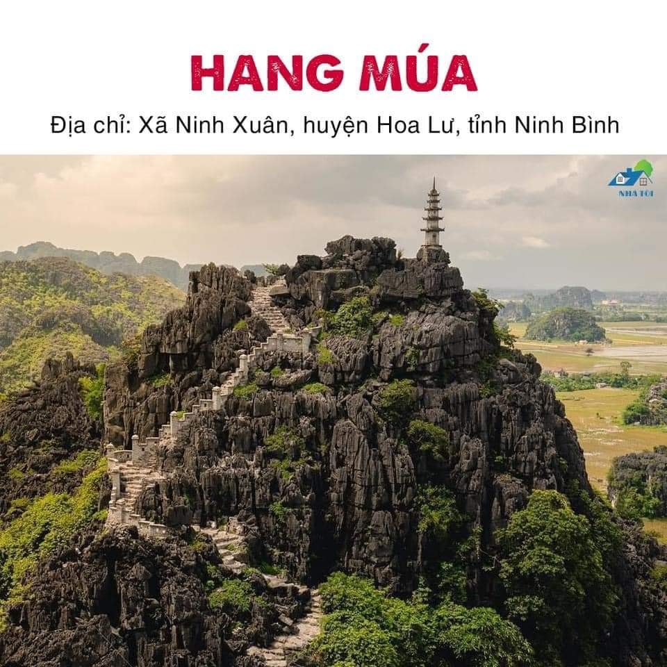 Tour Tuyệt Tình Cốc - Hang Múa - Tam Cốc 1 ngày