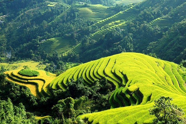 Tour Sapa - Cát Cát - Ý Linh Hồ - Lao Chải Tả Van 2 ngày 1 đêm