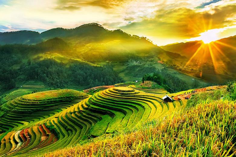 Tour Hà Nội - Mù Cang Chải - Sapa - Y Tý - Bắc Hà 5 ngày 4 đêm