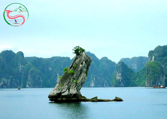 Du lịch Hạ Long 2 ngày 1 đêm ngủ tàu Fantasea Cruise