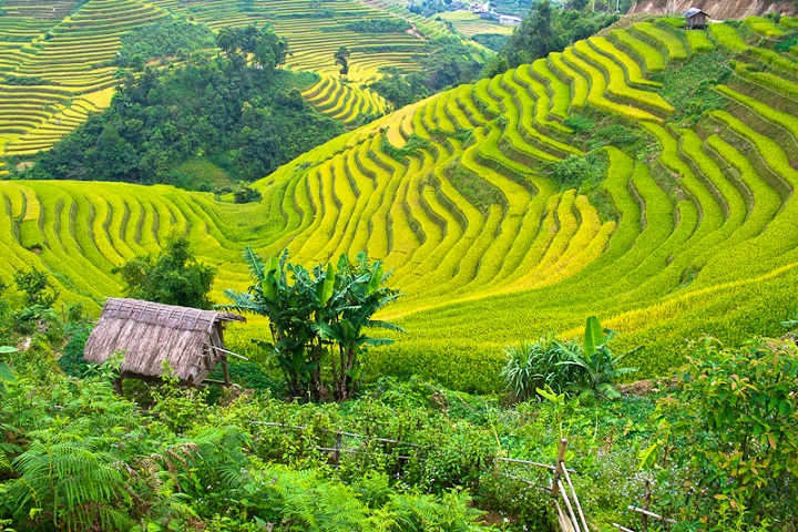 Du lịch Mai Châu 1 ngày